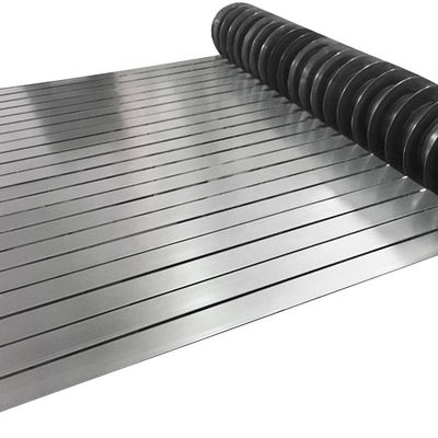 Stainless Steel Strip Coil with Tolerance of ±1% and Length 2000-6000mm or Customer Request
